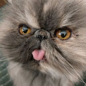 Meet your Posher, Mary